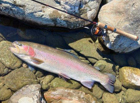 １投目で６６ｃｍ